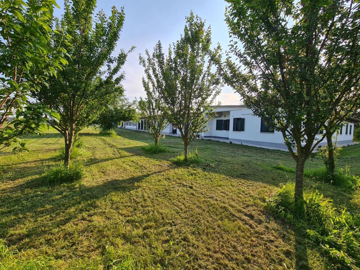 Agriturismo Ca Novak Venezia Villa Spinea Exteriör bild
