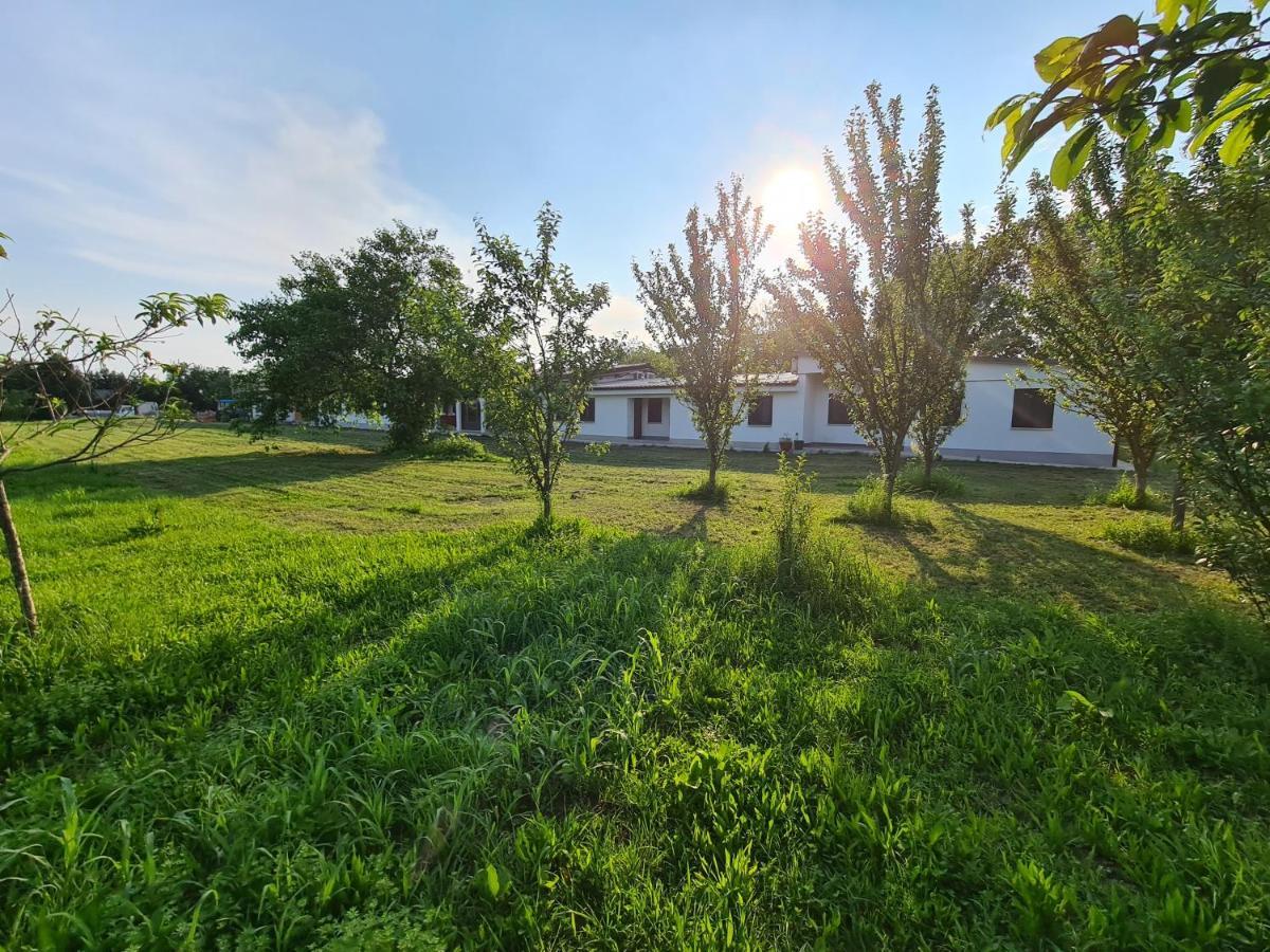 Agriturismo Ca Novak Venezia Villa Spinea Exteriör bild